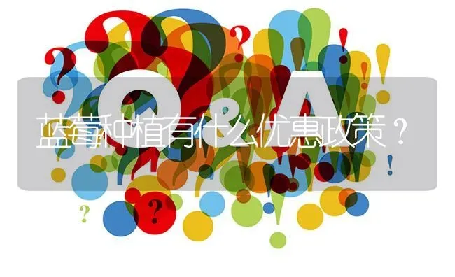 蓝莓种植有什么优惠政策? | 养殖问题解答