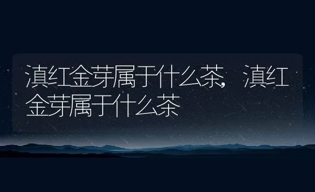 滇红金芽属于什么茶,滇红金芽属于什么茶 | 养殖常见问题