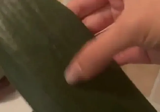 植物常识问题|女子精心养花半年发现是假的 精心养护的花竟是塑料