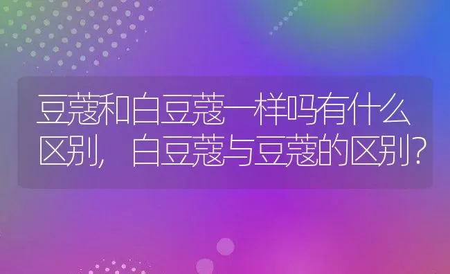 豆蔻和白豆蔻一样吗有什么区别,白豆蔻与豆蔻的区别？ | 养殖常见问题