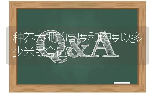 种养大棚的高度和跨度以多少米最合适? | 养殖问题解答