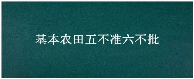 基本农田五不准六不批 | 三农问答