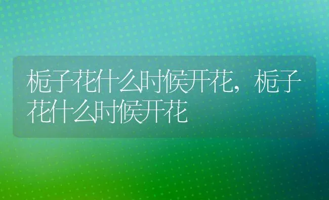 栀子花什么时候开花,栀子花什么时候开花 | 养殖常见问题
