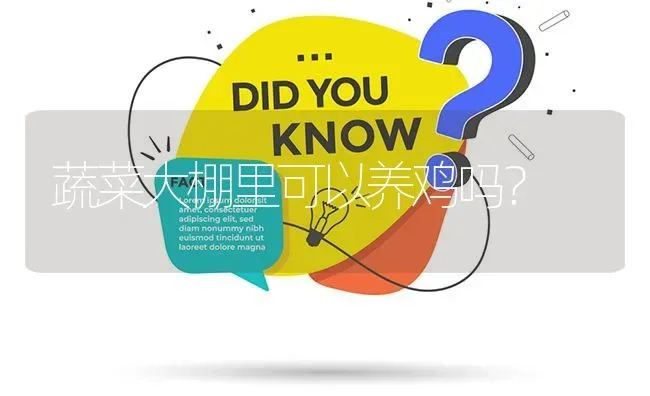 蔬菜大棚里可以养鸡吗? | 养殖问题解答