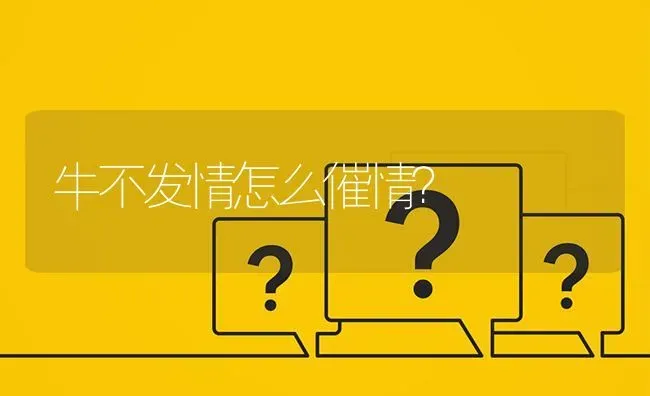 牛不发情怎么催情? | 养殖问题解答