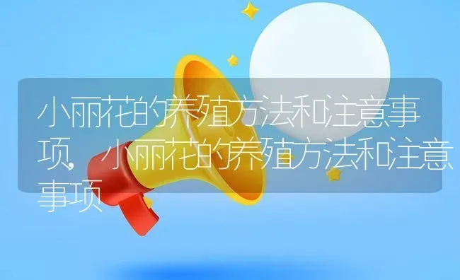 长寿花开花时间,长寿花开花时间 | 养殖常见问题