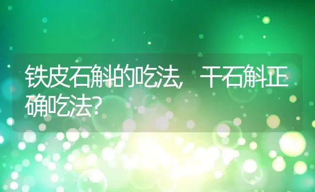 铁皮石斛的吃法,干石斛正确吃法？ | 养殖常见问题