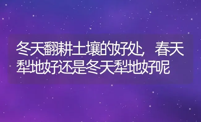 冬天翻耕土壤的好处,春天犁地好还是冬天犁地好呢 | 养殖常见问题