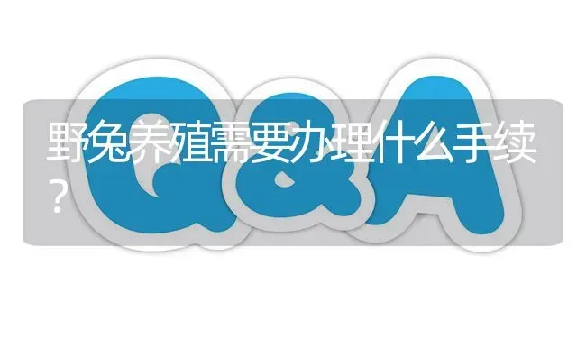 野兔养殖需要办理什么手续? | 养殖问题解答