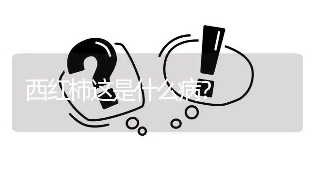 西红柿这是什么病? | 养殖问题解答