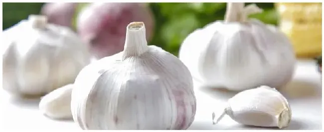 大蒜苗期有蛆怎么治 | 农业问题