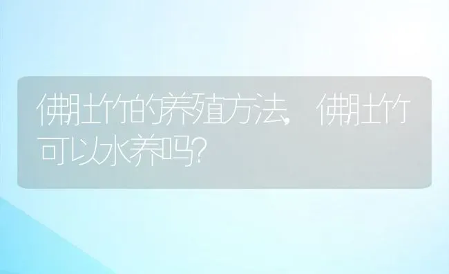 佛肚竹的养殖方法,佛肚竹可以水养吗？ | 养殖常见问题