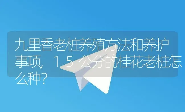 九里香老桩养殖方法和养护事项,15公分的桂花老桩怎么种？ | 养殖常见问题