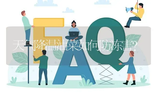 天气降温油菜如何防冻害? | 养殖问题解答