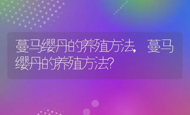 蔓马缨丹的养殖方法,蔓马缨丹的养殖方法？ | 养殖常见问题