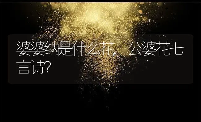 婆婆纳是什么花,公婆花七言诗？ | 养殖常见问题