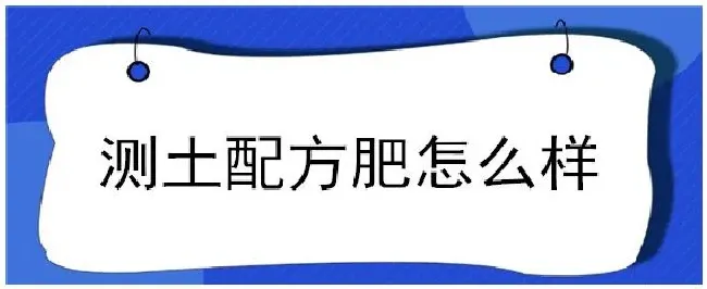 测土配方肥怎么样 | 三农问答