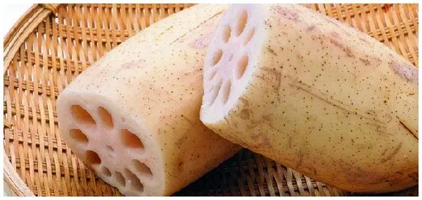 莲藕七孔和九孔的区别 | 科普知识