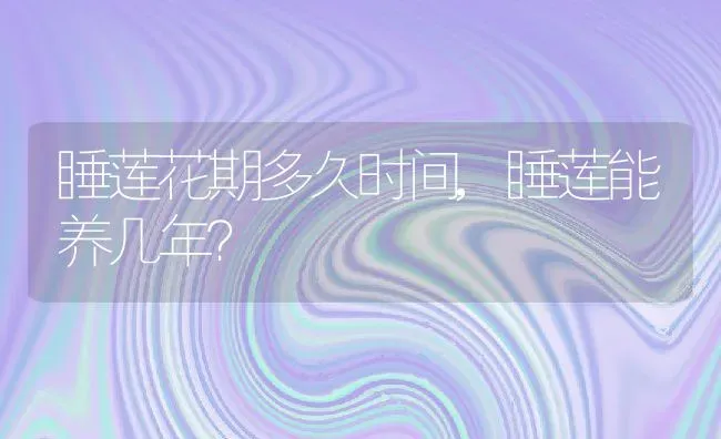 睡莲花期多久时间,睡莲能养几年？ | 养殖常见问题