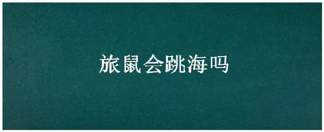 旅鼠会跳海吗 | 生活常识