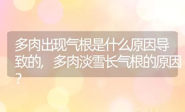 多肉出现气根是什么原因导致的,多肉淡雪长气根的原因？ | 养殖常见问题