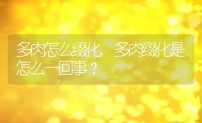 多肉怎么缀化,多肉缀化是怎么一回事？ | 养殖常见问题