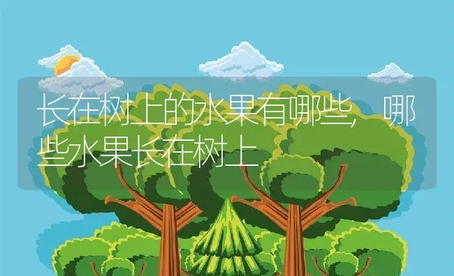 长在树上的水果有哪些,哪些水果长在树上 | 养殖常见问题