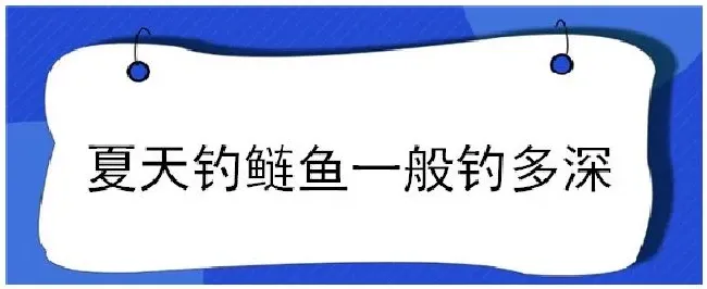 夏天钓鲢鱼一般钓多深 | 三农答疑