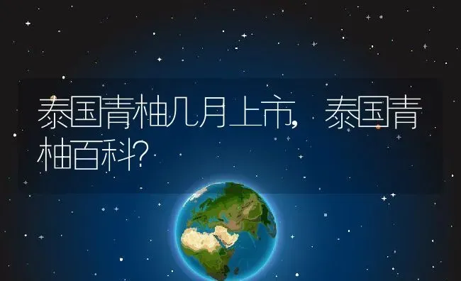 泰国青柚几月上市,泰国青柚百科？ | 养殖常见问题