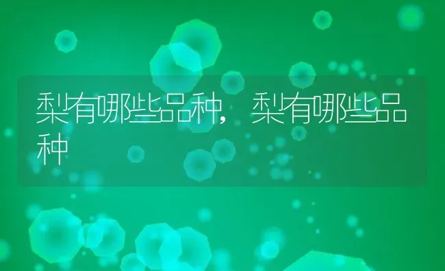 梨有哪些品种,梨有哪些品种 | 养殖常见问题