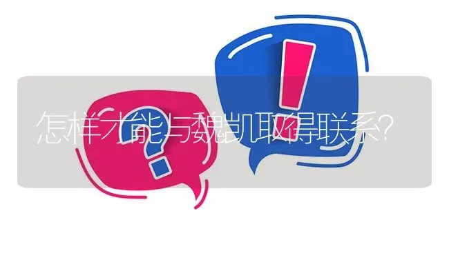 怎样才能与魏凯取得联系? | 养殖问题解答