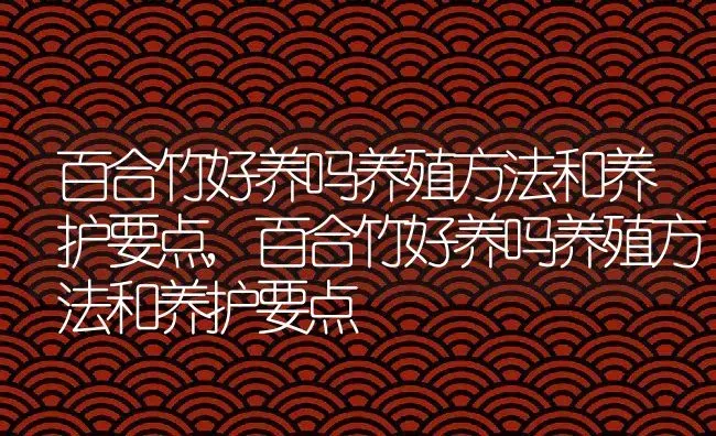 百合竹好养吗养殖方法和养护要点,百合竹好养吗养殖方法和养护要点 | 养殖常见问题