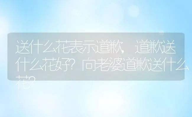 送什么花表示道歉,道歉送什么花好？向老婆道歉送什么花？ | 养殖常见问题