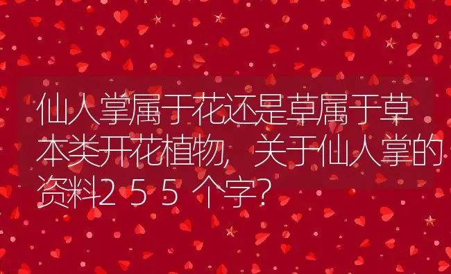 仙人掌属于花还是草属于草本类开花植物,关于仙人掌的资料255个字？ | 养殖常见问题