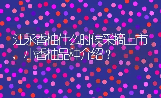 江永香柚什么时候采摘上市,小香柚品种介绍？ | 养殖常见问题