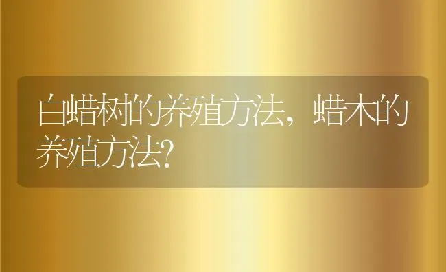 白蜡树的养殖方法,蜡木的养殖方法？ | 养殖常见问题