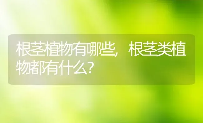 根茎植物有哪些,根茎类植物都有什么？ | 养殖常见问题