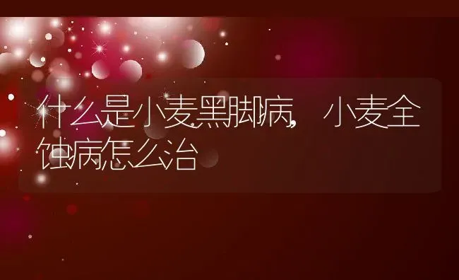 什么是小麦黑脚病,小麦全蚀病怎么治 | 养殖常见问题