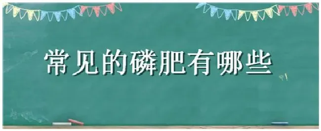 常见的磷肥有哪些 | 农业答疑