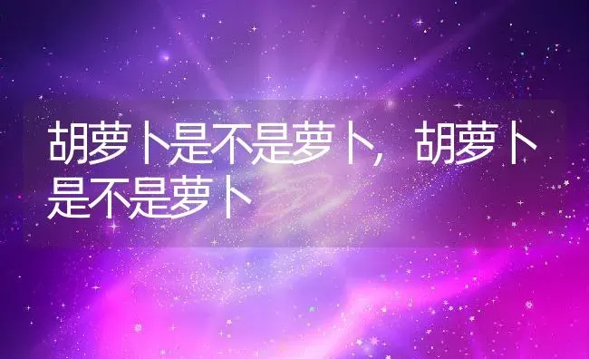 大琴叶榕的养殖方法和注意事项,大琴叶榕的养殖方法和注意事项 | 养殖常见问题