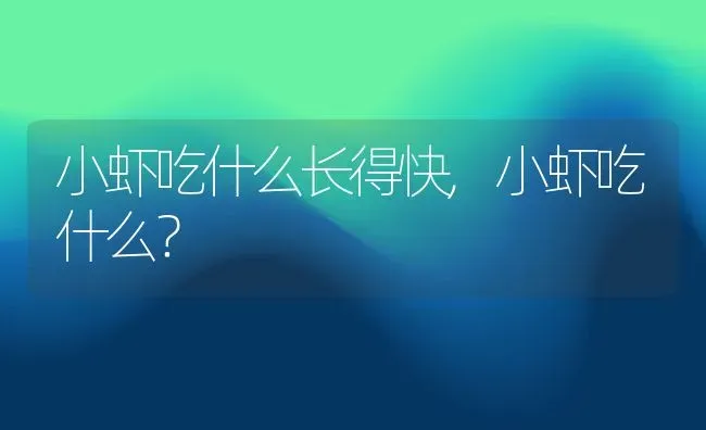 小虾吃什么长得快,小虾吃什么？ | 养殖常见问题