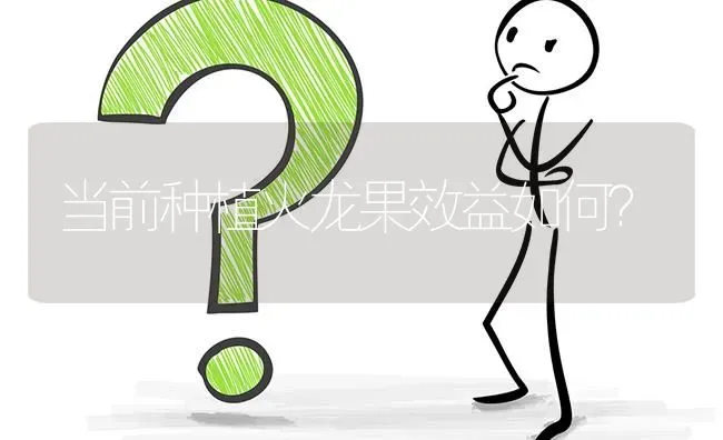当前种植火龙果效益如何? | 养殖问题解答