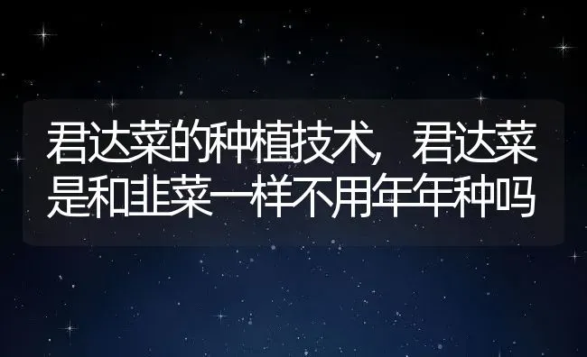 君达菜的种植技术,君达菜是和韭菜一样不用年年种吗 | 养殖常见问题