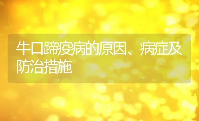 牛口蹄疫病的原因、病症及防治措施 | 养殖常见问题