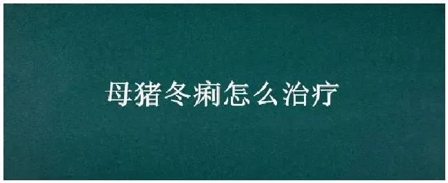 母猪冬痢怎么治疗 | 三农答疑