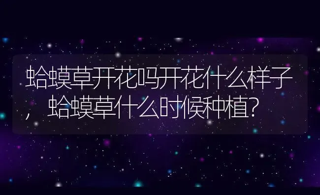 蛤蟆草开花吗开花什么样子,蛤蟆草什么时候种植？ | 养殖常见问题