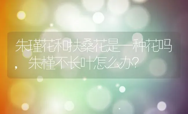 朱瑾花和扶桑花是一种花吗,朱槿不长叶怎么办？ | 养殖常见问题