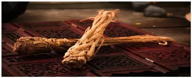 当归怎么种 | 农业常识