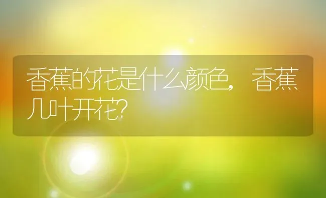 香蕉的花是什么颜色,香蕉几叶开花？ | 养殖常见问题