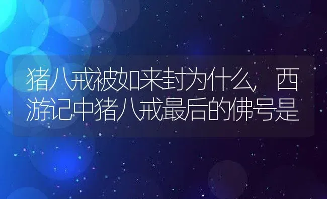 猪八戒被如来封为什么,西游记中猪八戒最后的佛号是 | 养殖常见问题